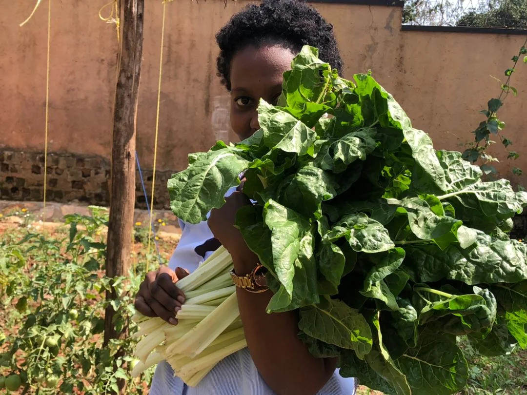 Seeds and Seedlings program
